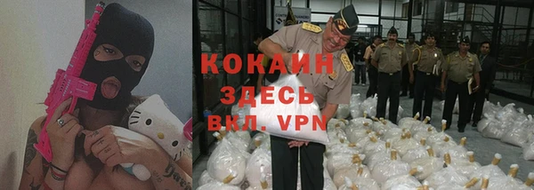 прущие грибы Бикин