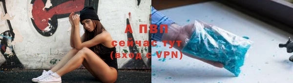 дживик Билибино