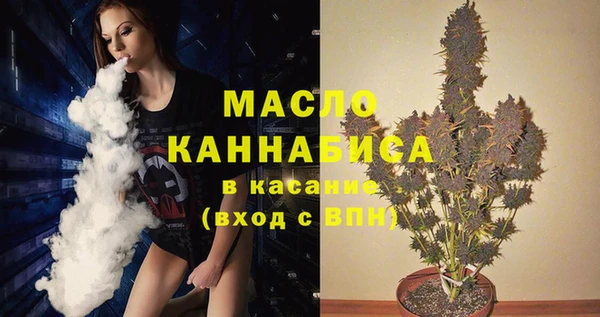 дживик Билибино
