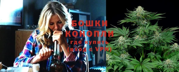 прущие грибы Бикин