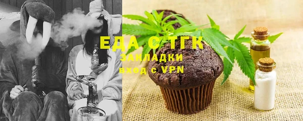 дживик Билибино