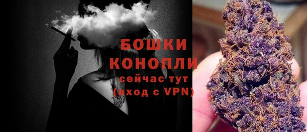 прущие грибы Бикин