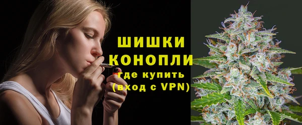 прущие грибы Бикин
