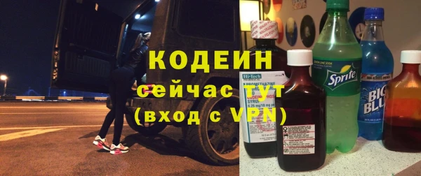 прущие грибы Бикин