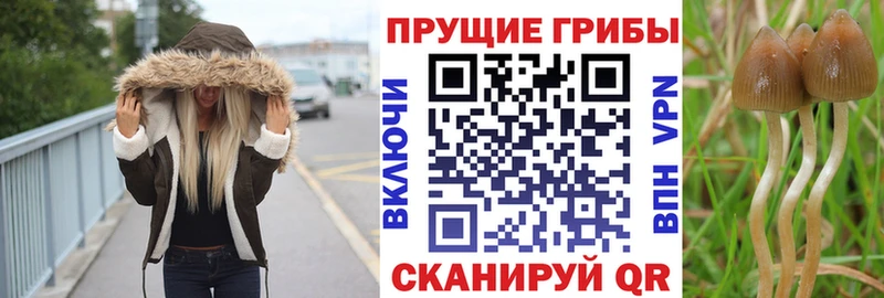 Псилоцибиновые грибы мухоморы  наркотики  Кадников 